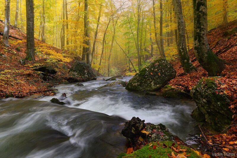 крым, хапхальское ущелье, хапхал В Хапхальском ущелье фото превью