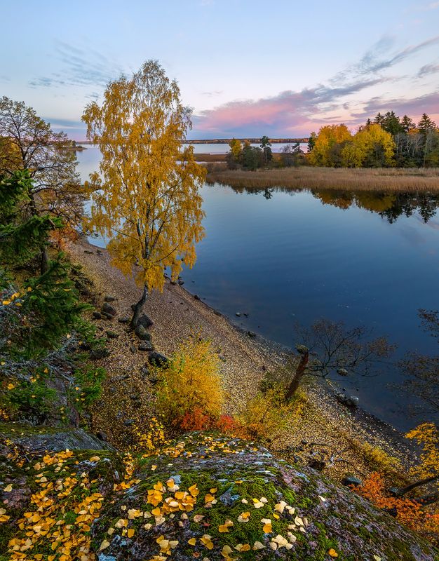 ленинградская область, рассвет, закат, сумерки, осень, осенний, парк монрепо, выбор, водоём, река, озеро, архитектура, мост, Провожая осеньphoto preview