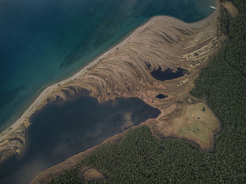 Перо байкальской птицыphoto preview