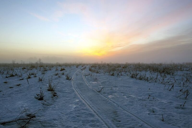 Встречаем зимуphoto preview