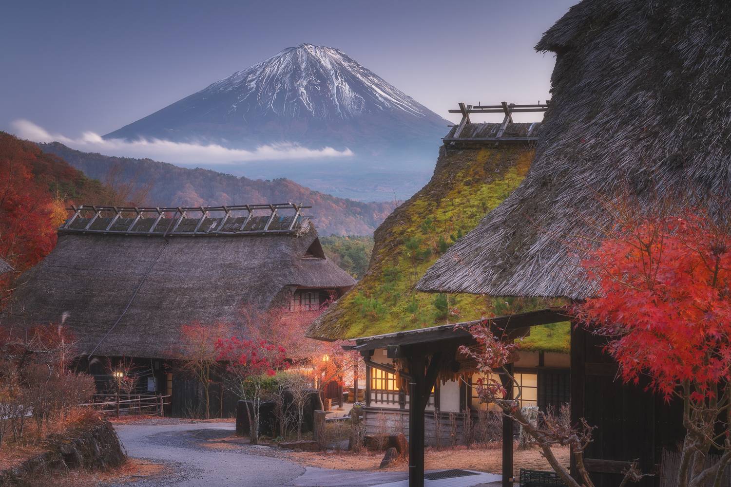 , Антон Агарков