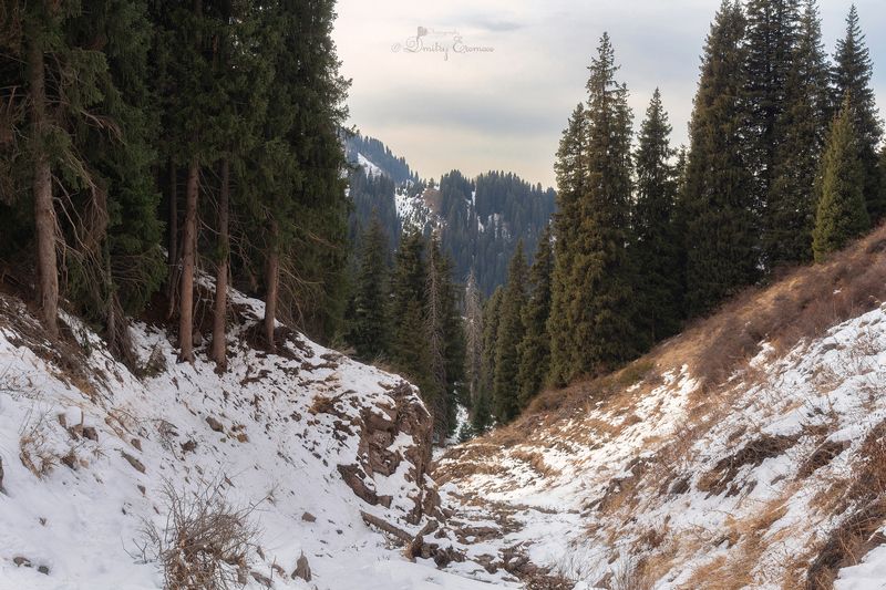 Горными тропами... фото превью