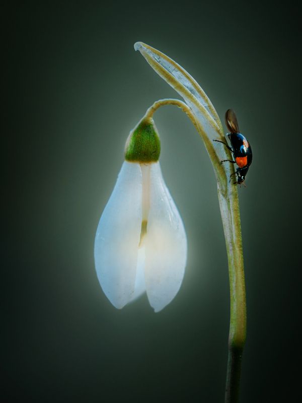 Потерянный райphoto preview