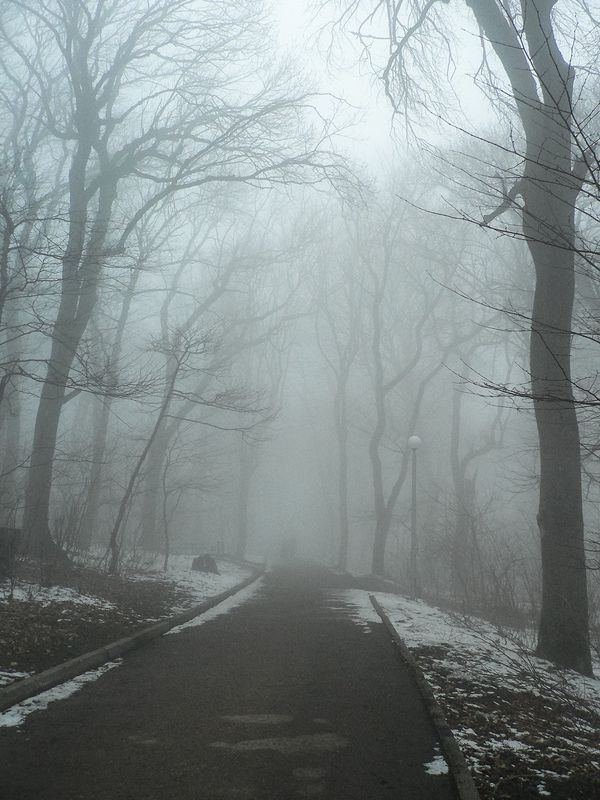 железноводск, туман, парк Туманphoto preview