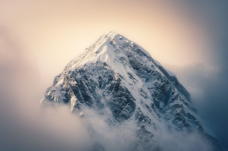 Пумори, портретphoto preview