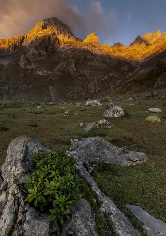 photography, mountain, autumn, flower, landscape, photo, awakening, flowers, land, landmark, lands, dramatic ligth, ligth, mountains Romulusphoto preview