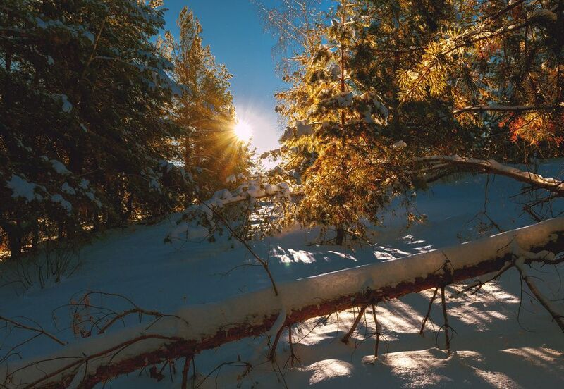 тернистой дорогойphoto preview