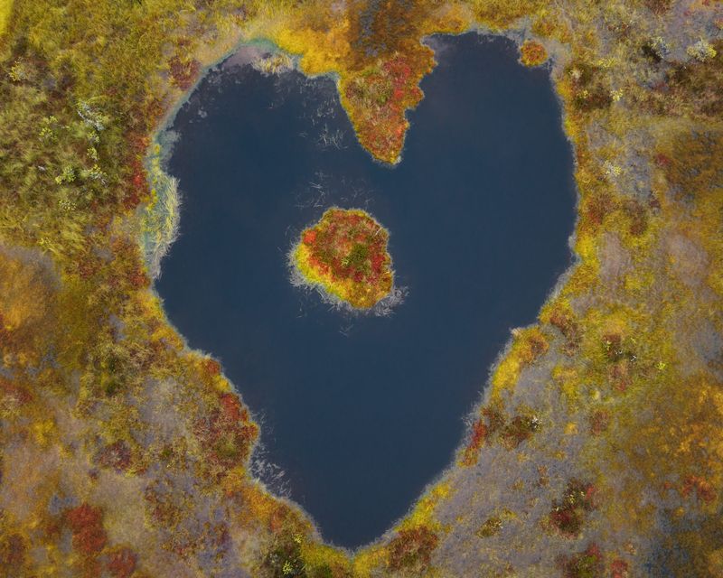 болота, болталенобласти, ленобласть Болота. Озерца. Островки.photo preview