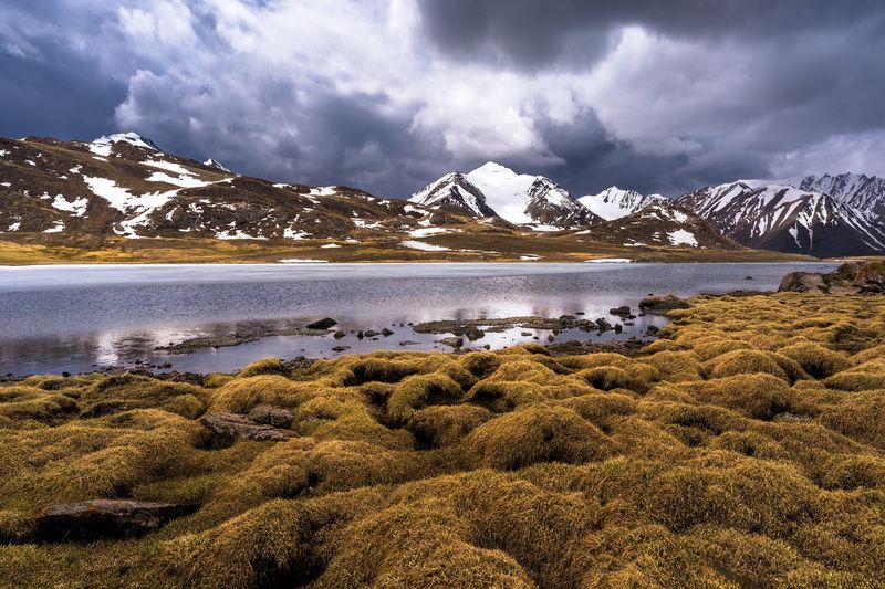 Июнь на Арабельphoto preview