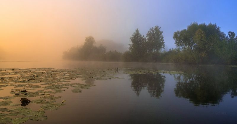 осень утро озеро туман природа пейзаж Утро в сентябре.photo preview