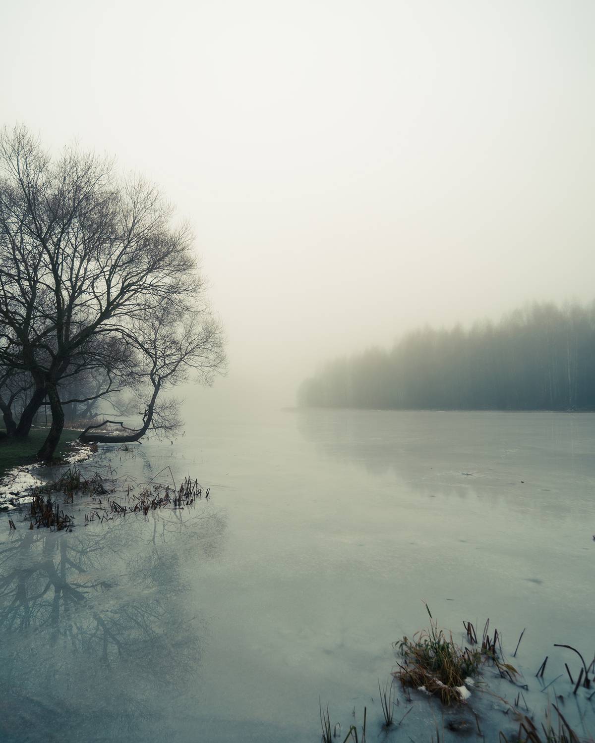 Пейзаж, туман, зима, лед, природа, атмосфера, мистика, красота, Колесенко Иван