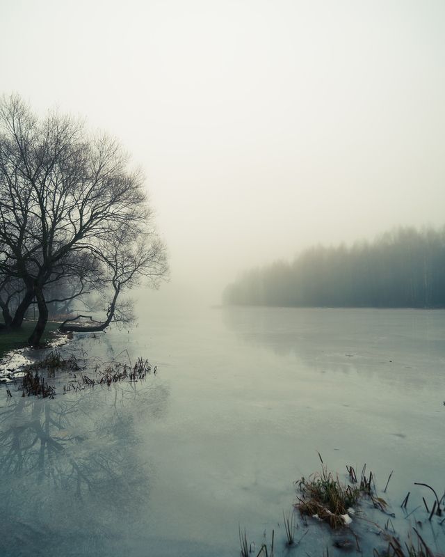 Пейзаж, туман, зима, лед, природа, атмосфера, мистика, красота Туманный день на берегу замёрзшей реки (1) и photo preview