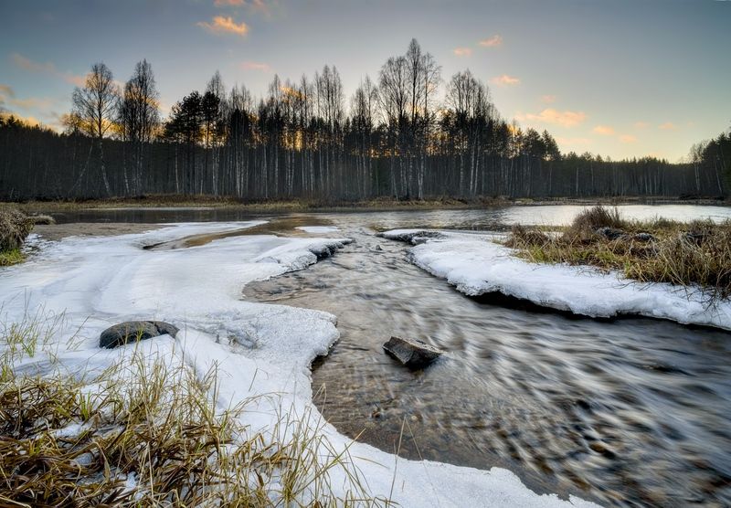 Немного весны в начале зимыphoto preview