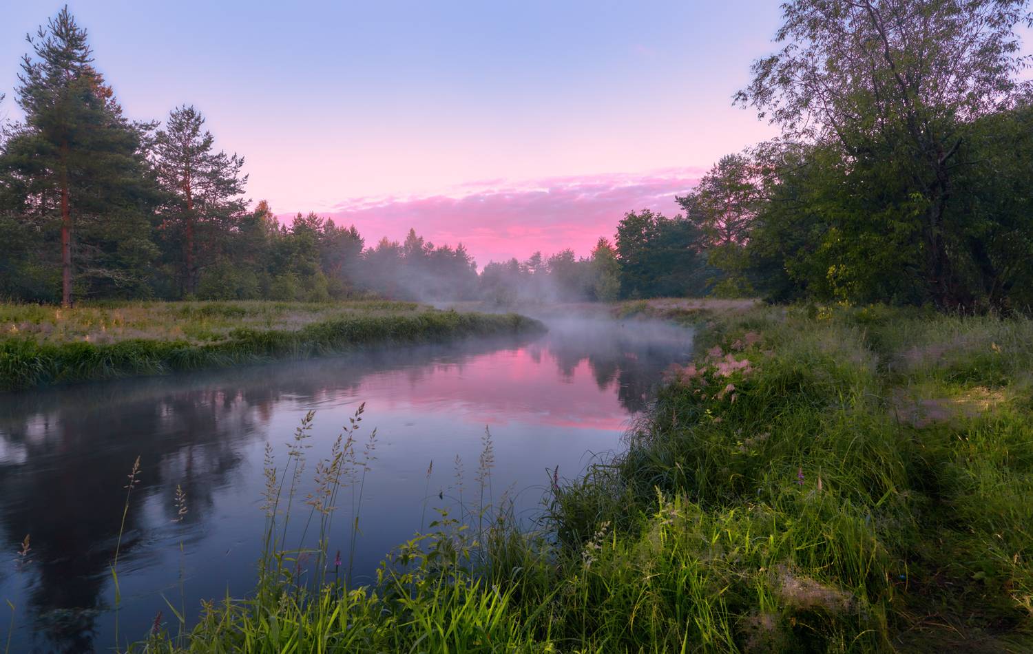 , Роман Лушпа