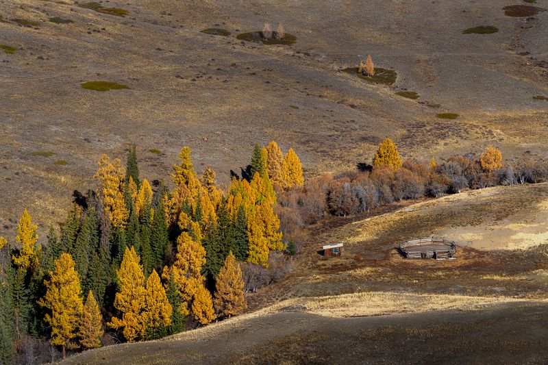 Осень на Алтаеphoto preview