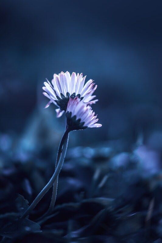 Вместе теплееphoto preview