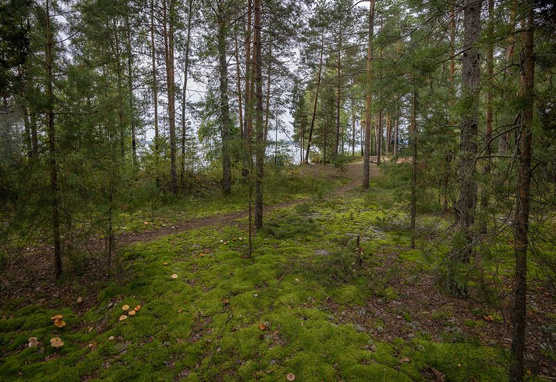 На островеphoto preview