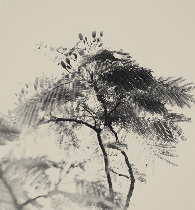 линии, пятна, природа, арт, ***photo preview