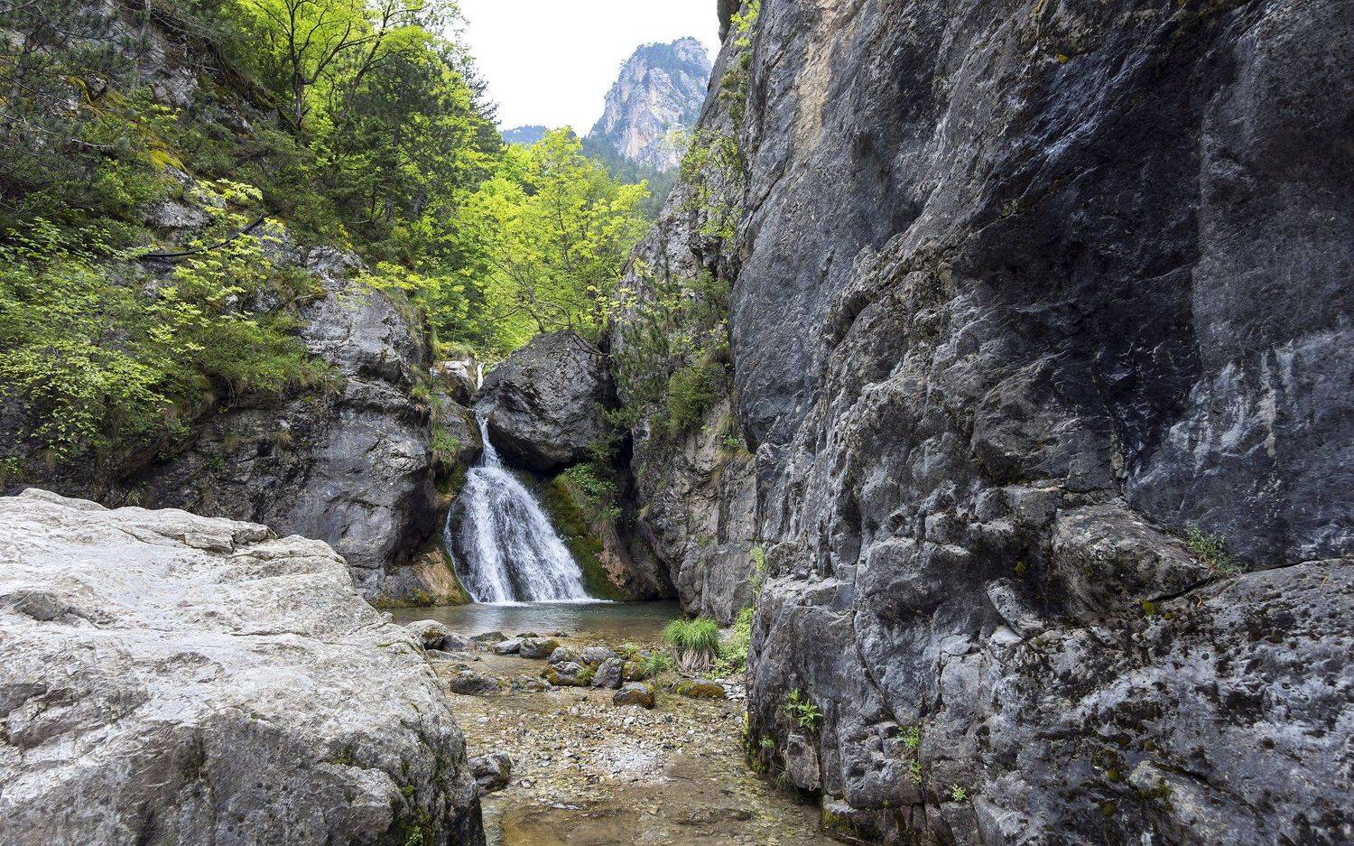 View from the trail. Автор: Theodore Bodurov , Theodore Bodurov