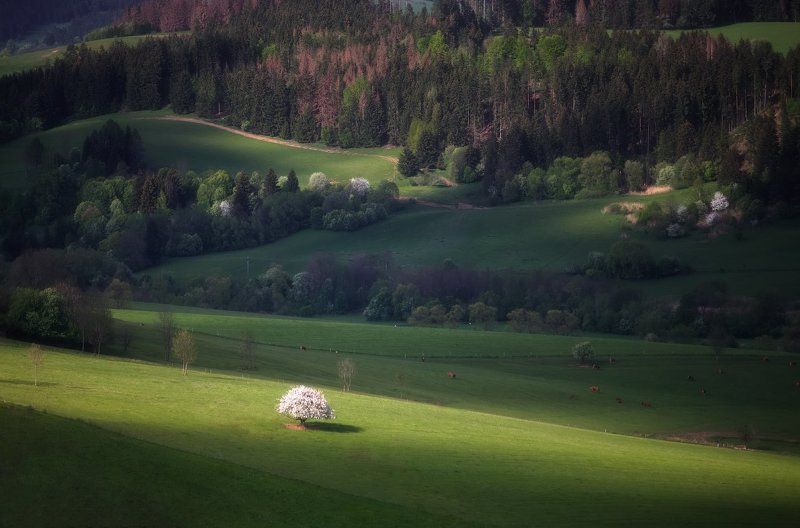 Весенняя театральная зарисовкаphoto preview