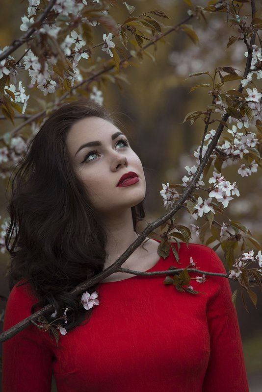 Вот она какая японская сакураphoto preview