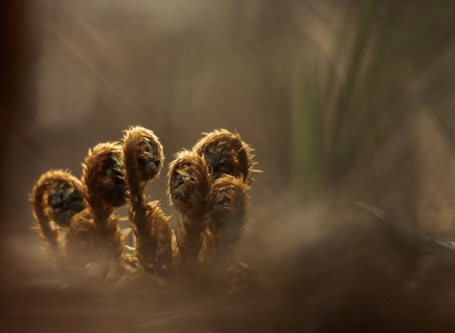 Динозаврики. Автор: Germanic , Germanic