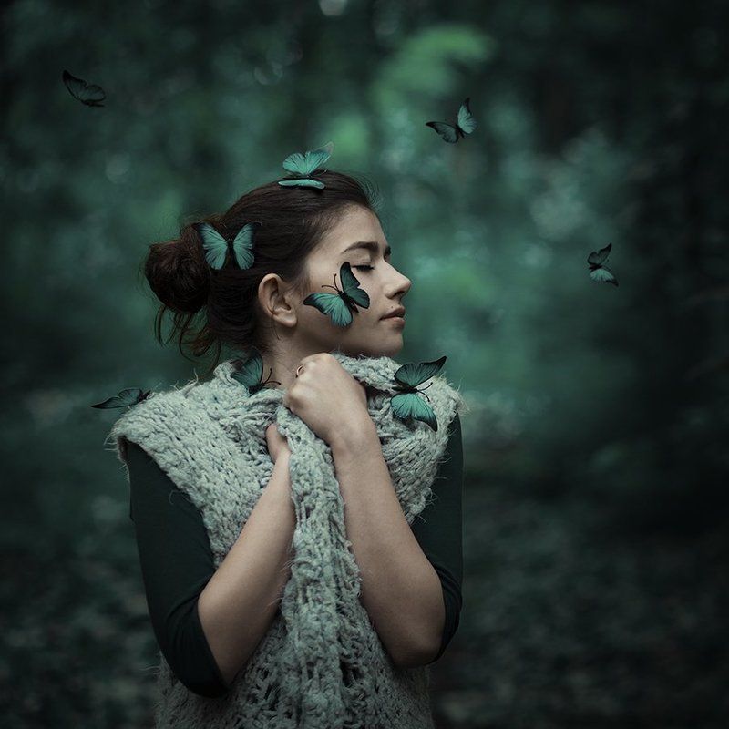 Пеперудаphoto preview