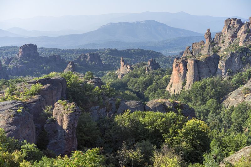 In the Morning Lightphoto preview