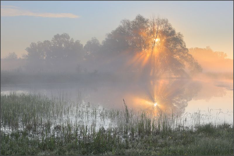 Солнце Река Туман ***photo preview
