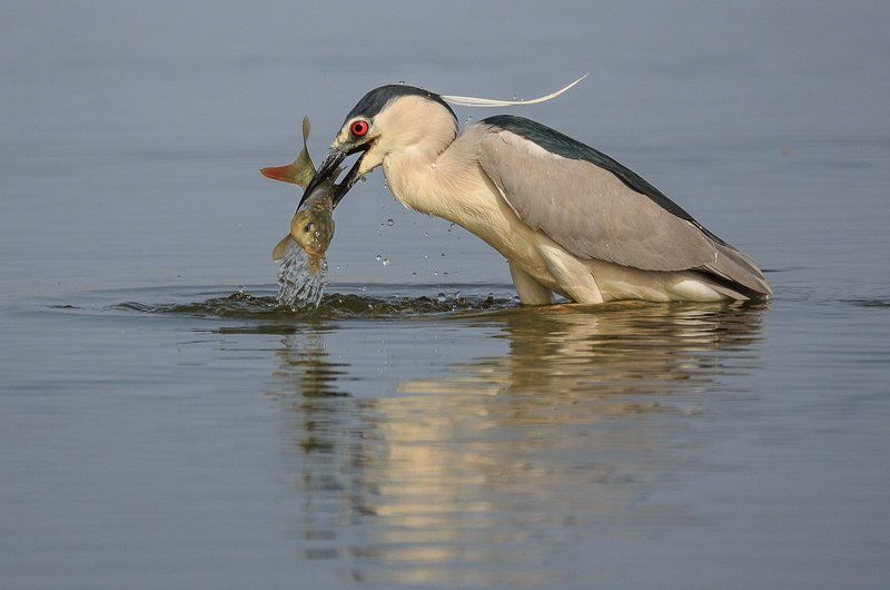Удачная рыбалка!photo preview