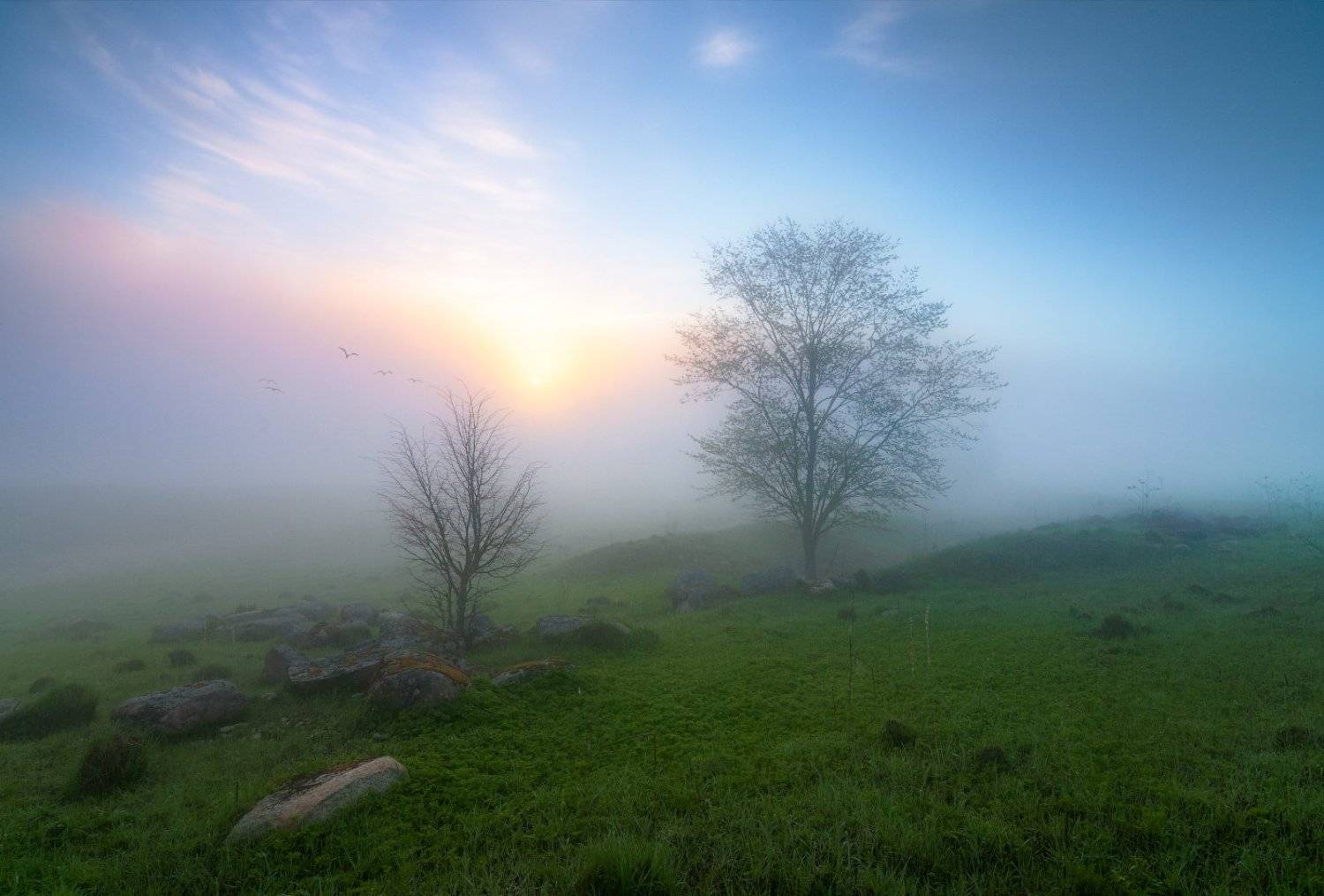 Туман, утро, рассвет, весна, пробуждение, Cтанислав Малых