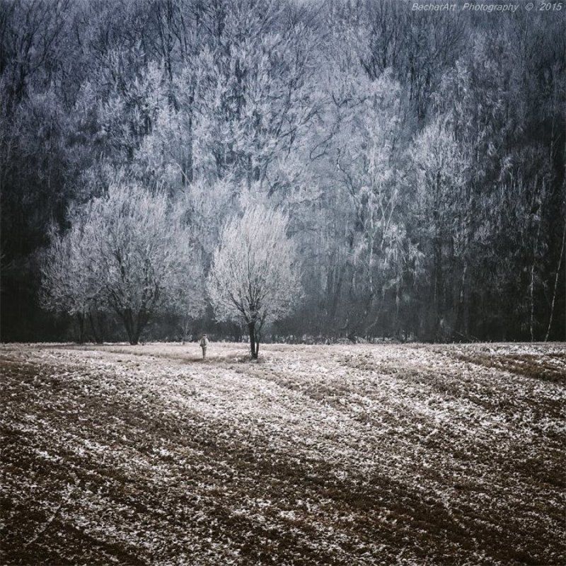 Location:Silence (Part.IV.)photo preview