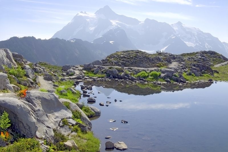 Austen Passphoto preview