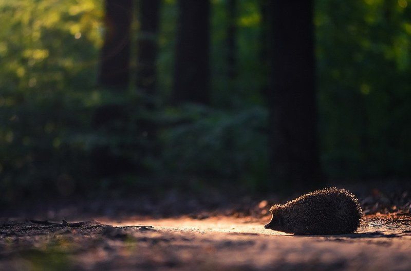 Встречаphoto preview