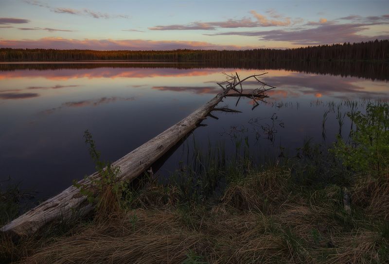 Жизнь после жизниphoto preview