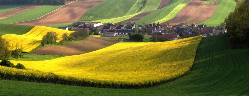 Как австрийцы золото выращивают )photo preview
