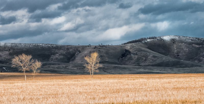 Горы, Деревья, Пейзаж, Сибирь, Снег, Степь, Хакасия Последний снегphoto preview