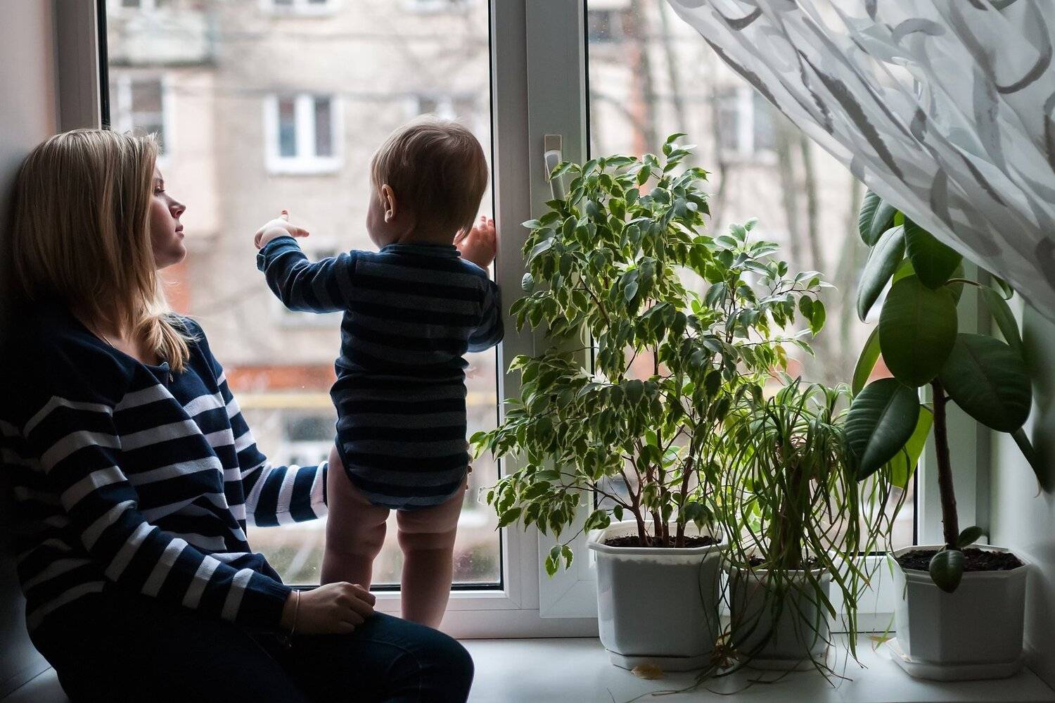 Там за окном. Автор: Игорь , Игорь