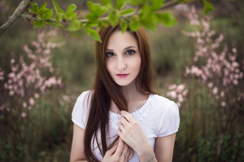 Майский вечерphoto preview