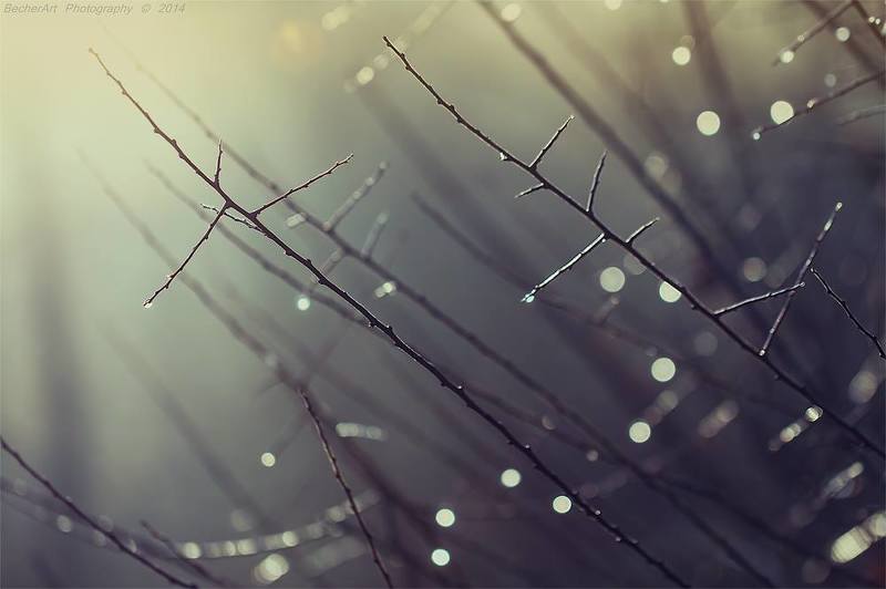 A Gift Of Enlightenment Iphoto preview