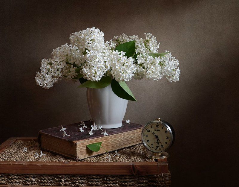 натюрморт, весна, сирень Белая сиреньphoto preview