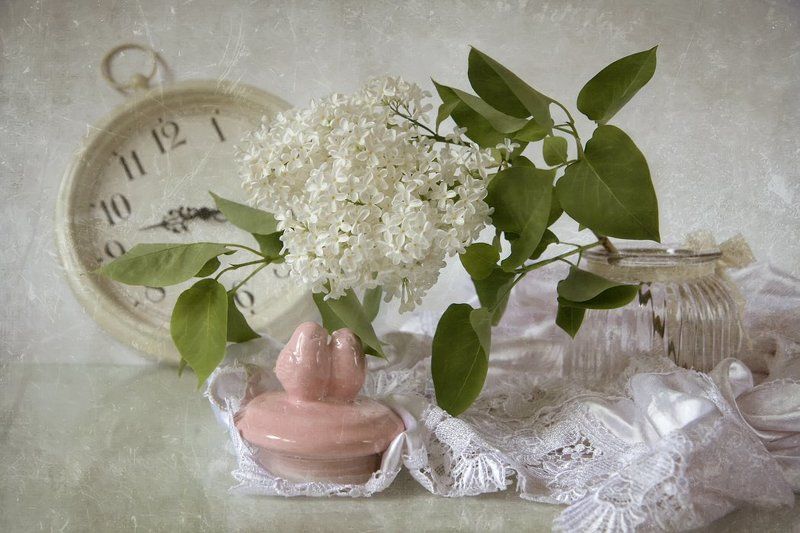 Время весны фото превью