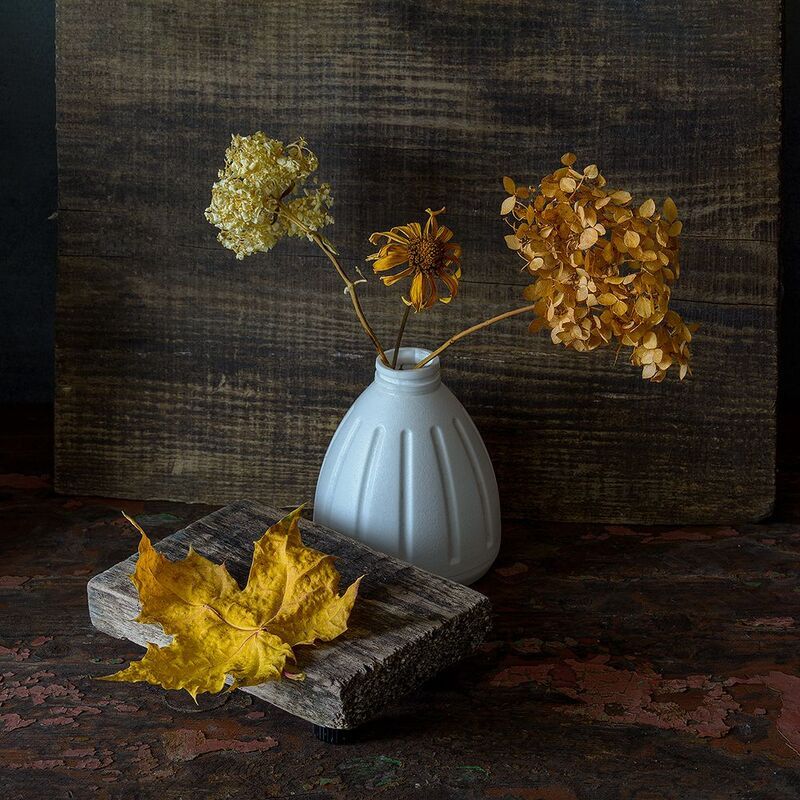 кленовый лист, подставка, сухие цветы, ваза photo preview