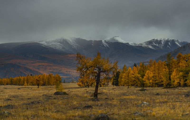 россия, горный алтай,осень, утро, степь Погода испортиласьphoto preview