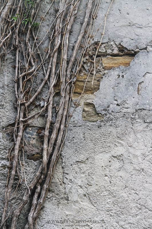 европа, средневековье, стены, ветви, живопись, минимализм, время Линии жизниphoto preview