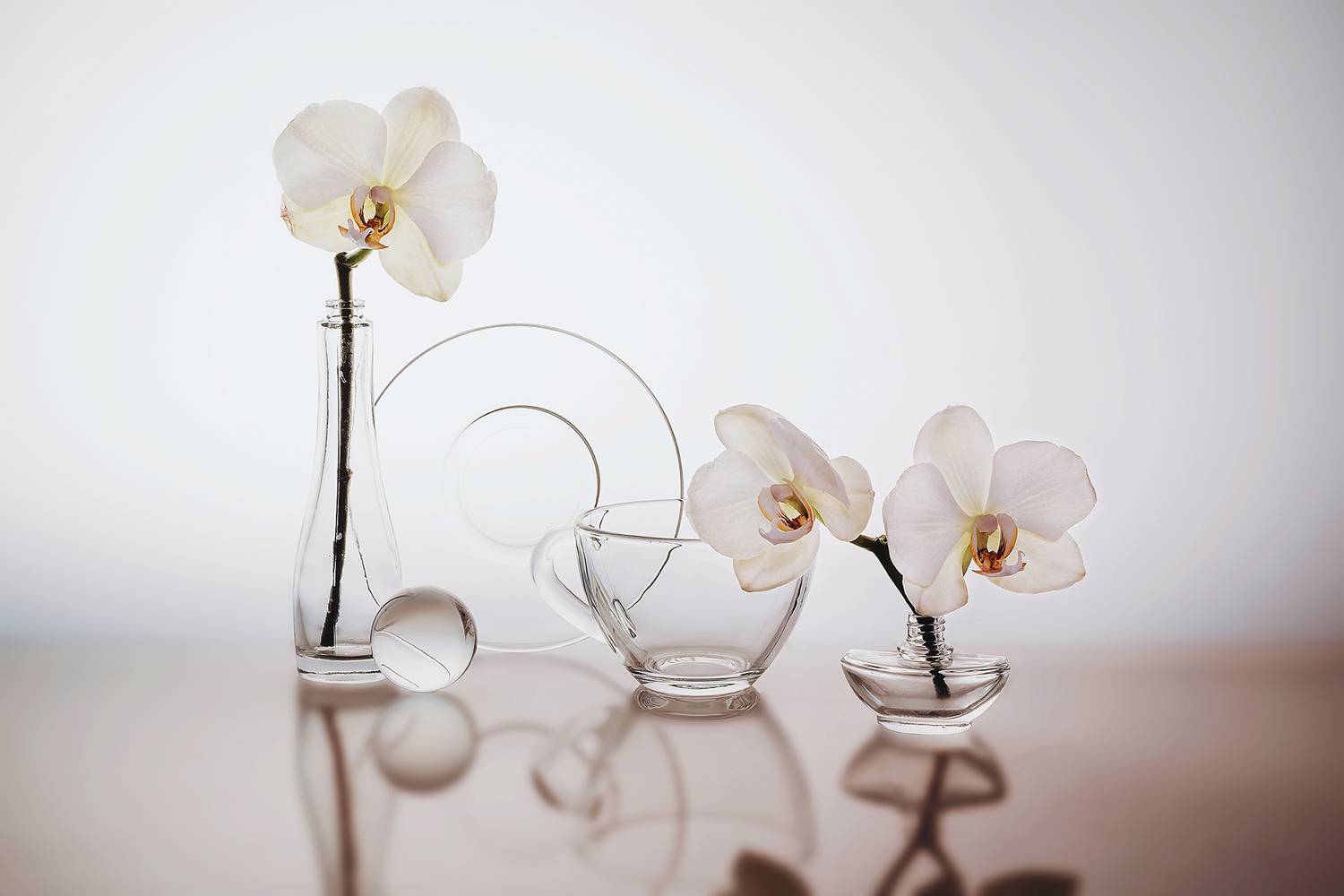 Автор: MVO (Марк Орлов) , MVO (Марк Орлов)