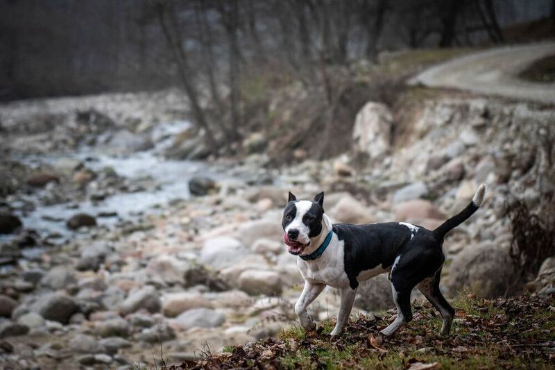 Случайный попутчикphoto preview