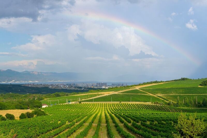 The Unfading Rusphoto preview