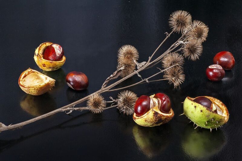 натюрморт Натюрмортphoto preview