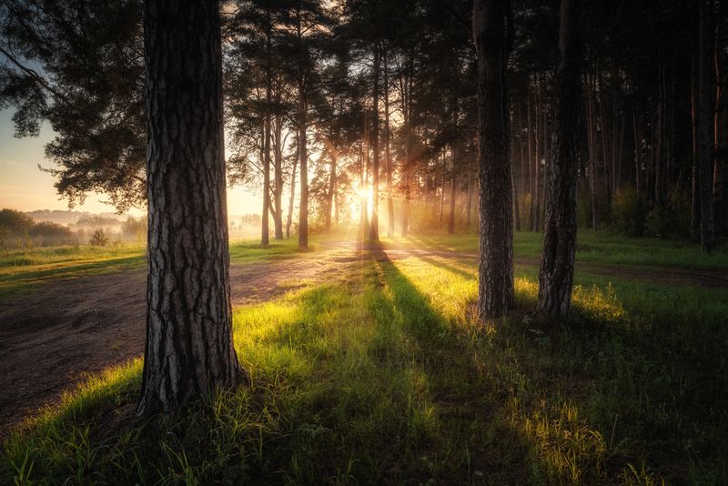 Дорога к светуphoto preview